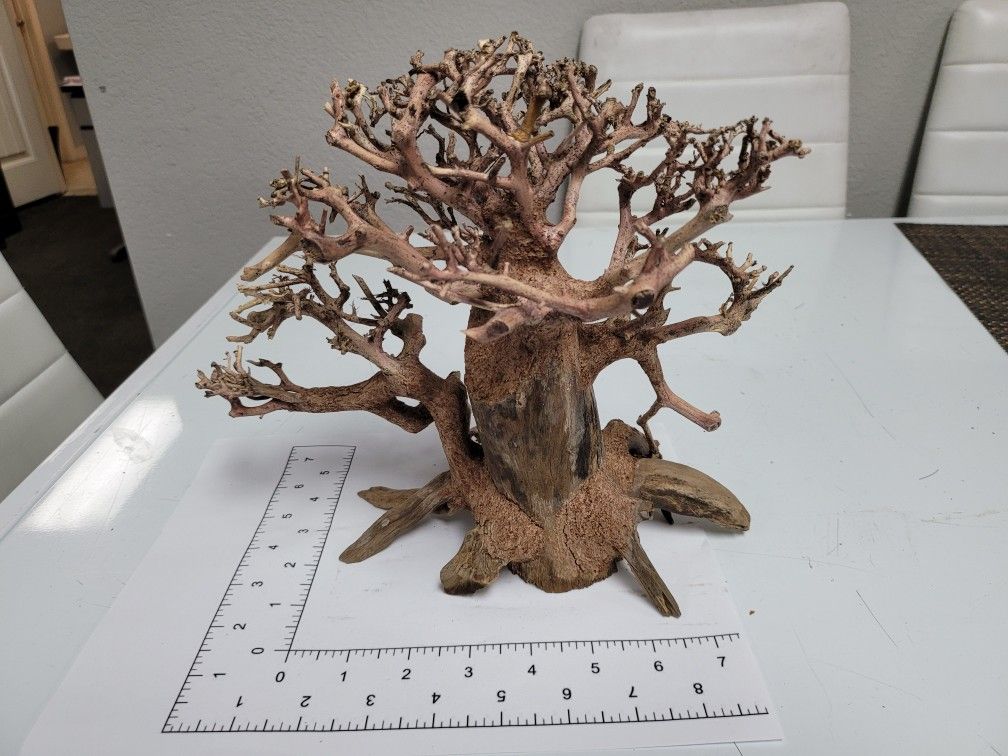 Large Bonsai Tree Aquarium Terrarium Reptile Fish Tank Driftwood
