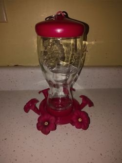 Hummingbird Feeder for $10
Or 2 Hummingbird Feeders for 15