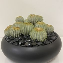 Artificial Cactus Bundle