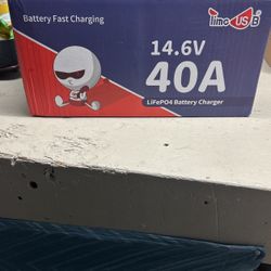 Battery fast charger