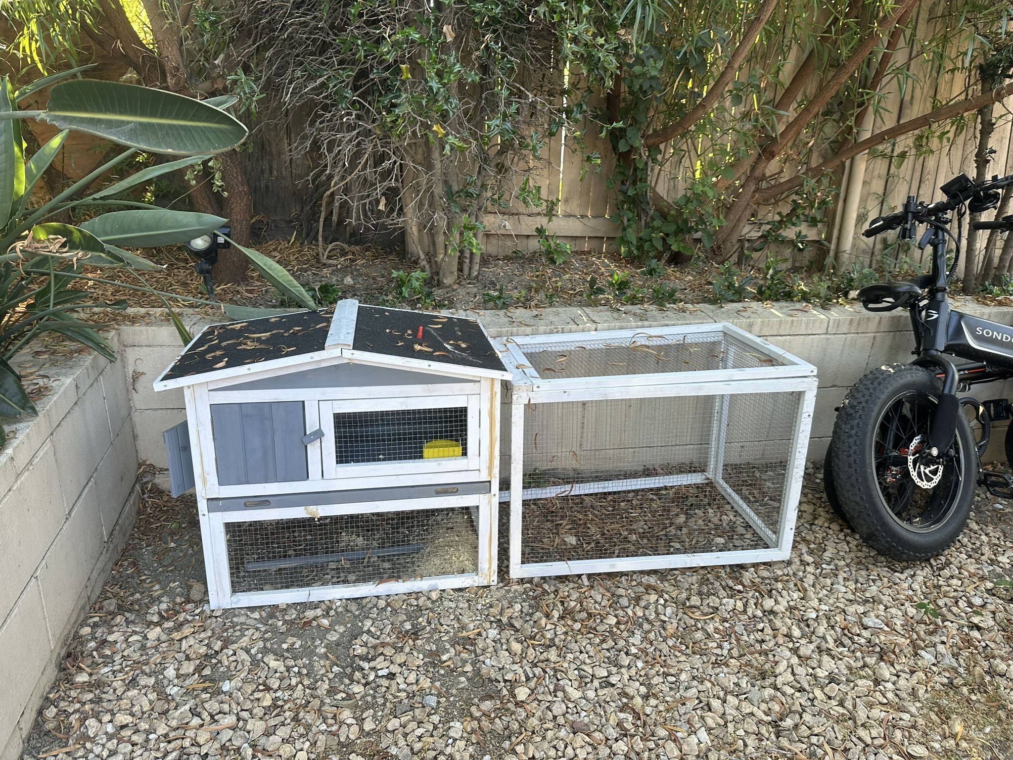 Chicken Coop