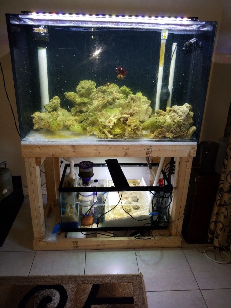 150 Gallon Aquarium 