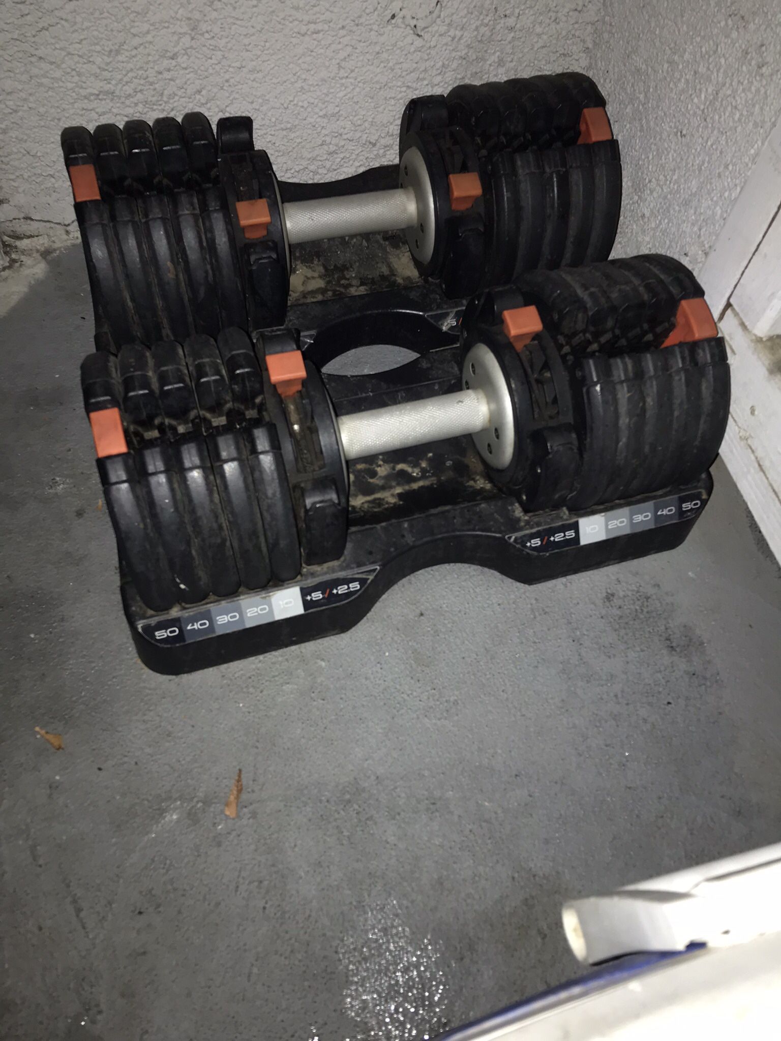 NordicTrack Dumbbells 