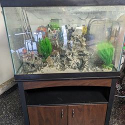 Fish Tank (70gal)