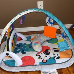 Baby Einstein Gym