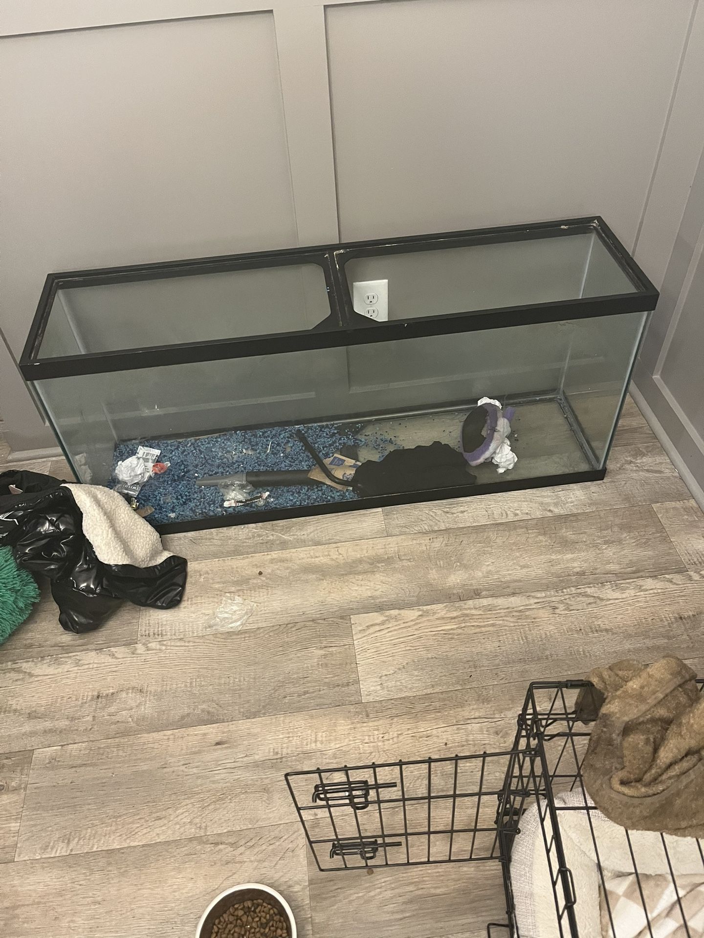 55 Gallon Fish Tank