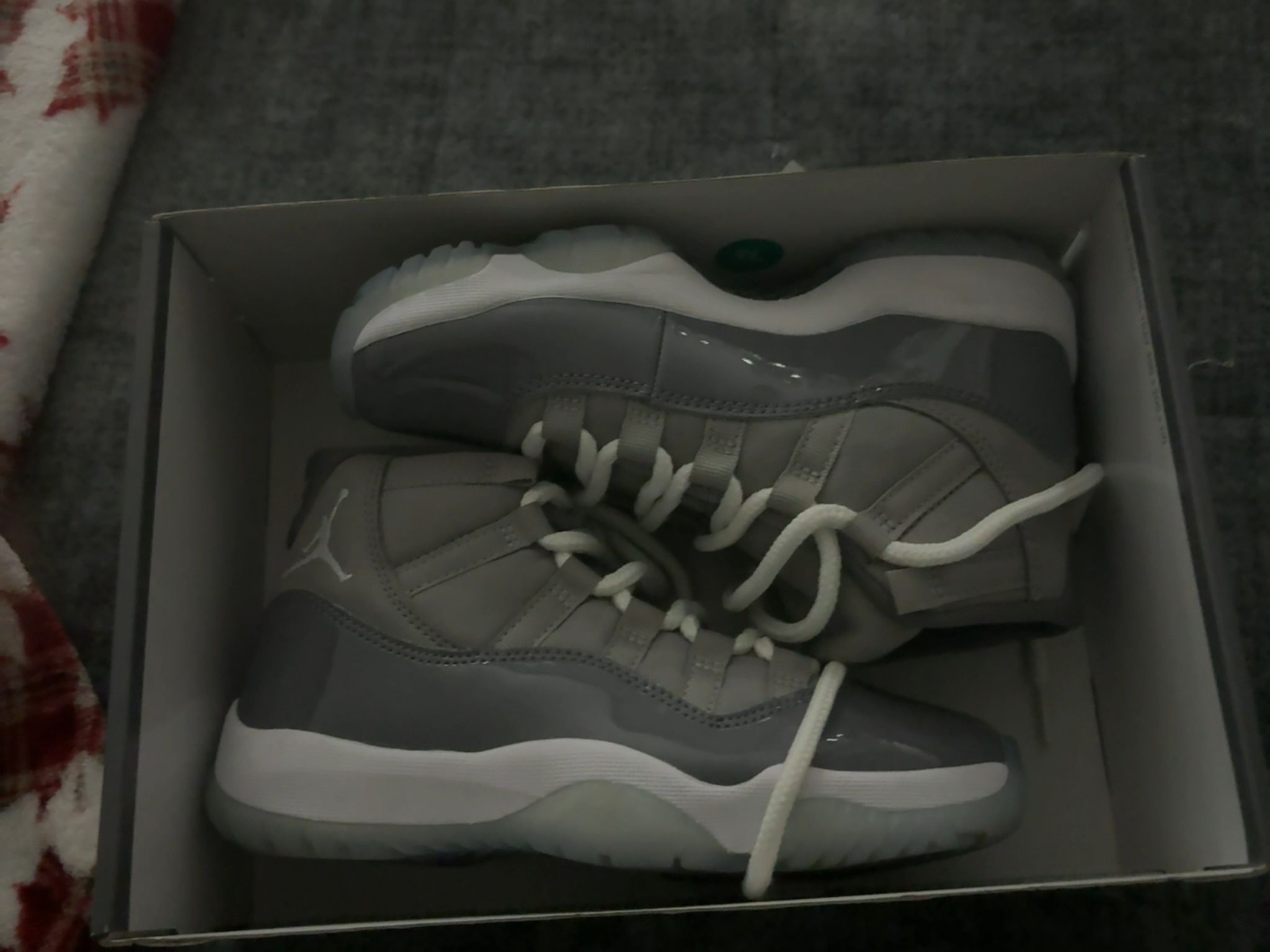 Jordan 11 Cool Grey Retro