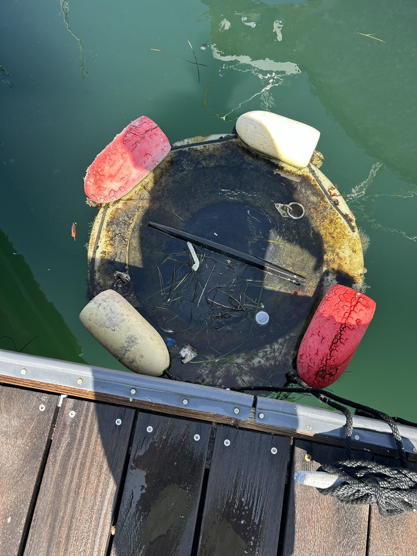 55 gallon bait barge - dock bait saver - perfect for holding & saving bait after a fishing run