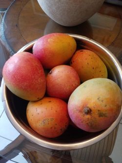 Mangoes $1 Each