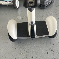 Adult Segway Ninebot
