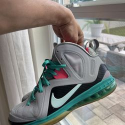 Lebron James 9 Elites South Beach