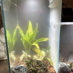 Waterfall Fish Tank