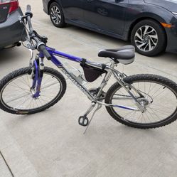 Schwinn Bike 