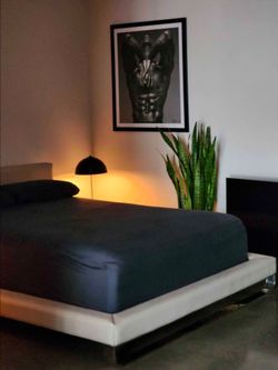 Modloft Queen Bed & Mattress