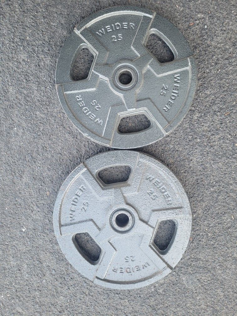 25lbs Weights