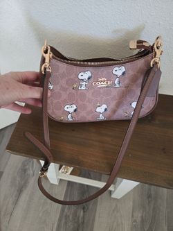 Snoopy coach