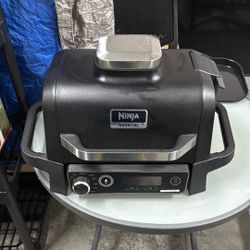 Ninja Woodfire Grill