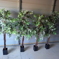 4 Artificial Ficus Tree ( Free Delivery If Needed)