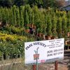Dmk Nursery