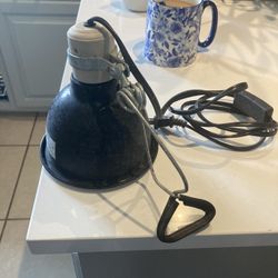 Aquarium Light Or Reptiles Light 