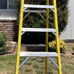 8” Husky Ladder