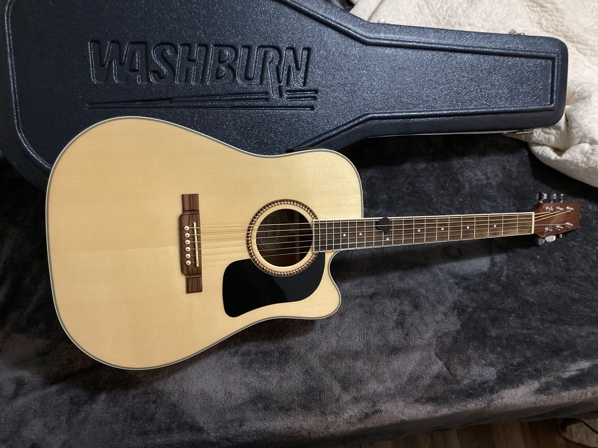 Washburn Guitar And Hard Case