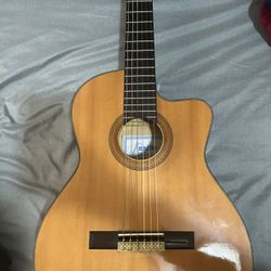 Acoustic Guitar 