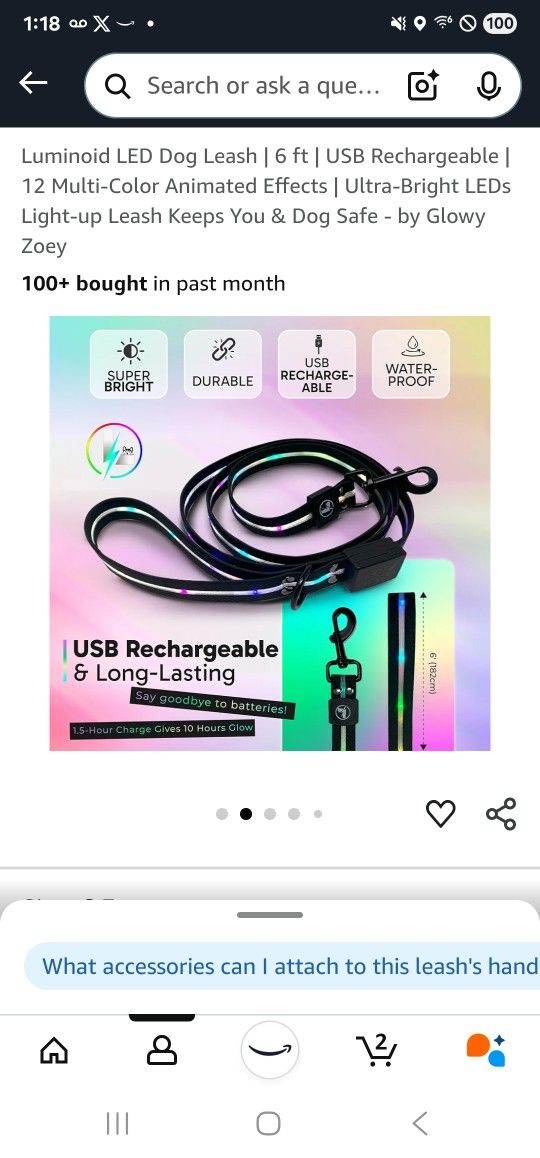 Dog Leash 