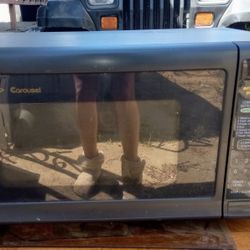 Microwave "Carousel"