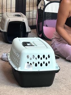 Hard Shell Pet Carrier Crate