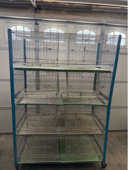 Pigeons breeding cage
