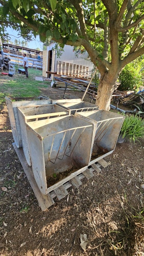 Horse Feeders (6 Total)
