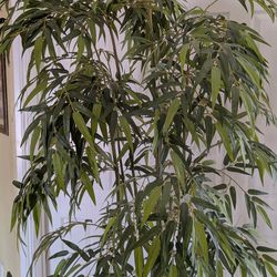 6 ft. & 9 in Artificial Bamboo Silk Tree