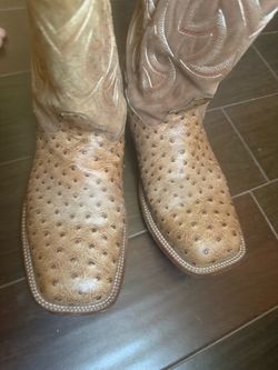 Cavenders Ostrich boots size 11