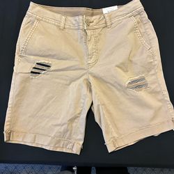 Khaki Shorts 