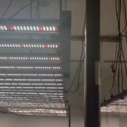 Led Grow Lights 1000watt