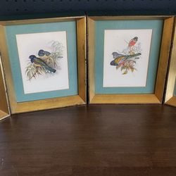Four antique original hand colored prints by William Hart and John Gould