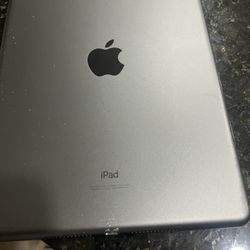 iPad  Gray