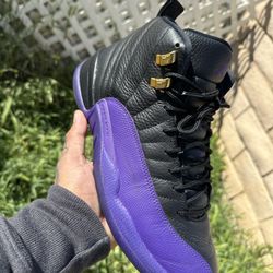 Air Jordan Retro 12 Size 10 Men