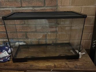 10-Gallon Reptile Tank w/ Screen Lid – Great Condition – $20