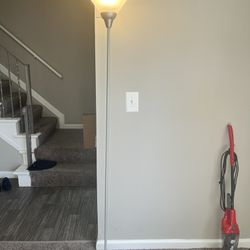 Floor Lamps with Bulbs