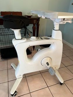 Flexispot Exercise Desk Bike