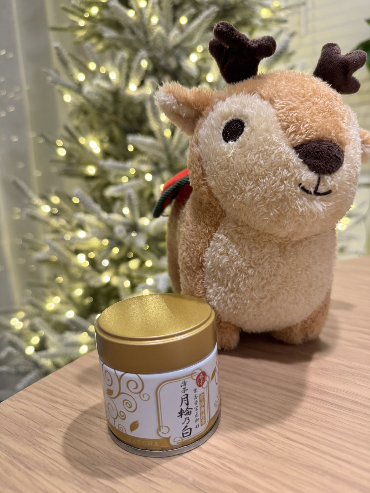 Uji, Japan Matcha Powder - Morihan Ceremonial Grade 