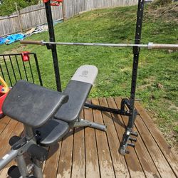 Olympic Bench Bar Weights (Tower)  And Rack With Chin Up Bar