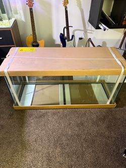 75g Fish Tank