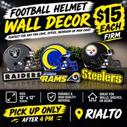 NFL Team Helmet Logo wall or desk display