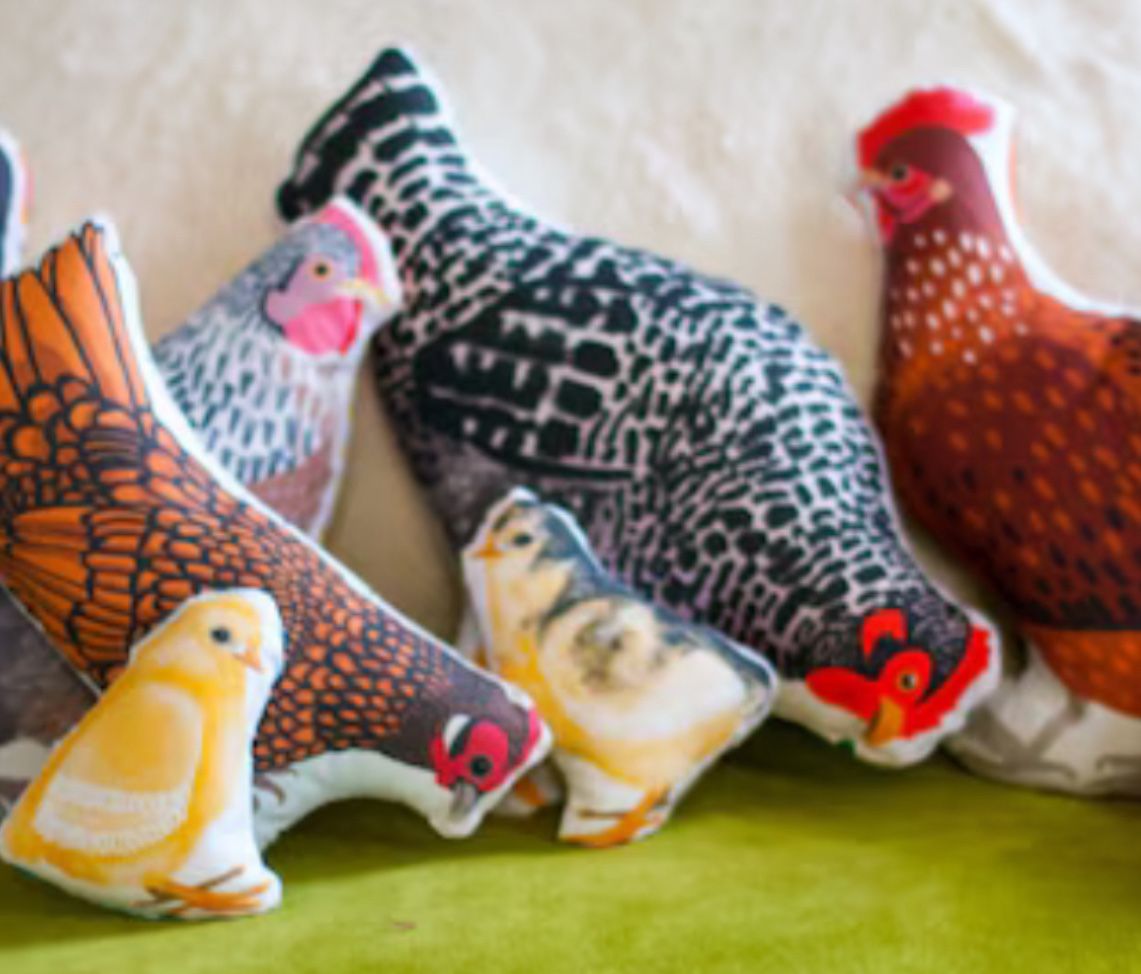 Pollo