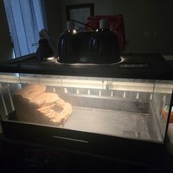 Large Enclosure 