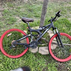 Dynacraft equator 2025 bike