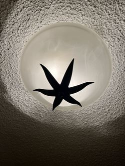 Light Fixtures